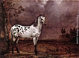Horse Canvas Paintings - The Spotted Horse